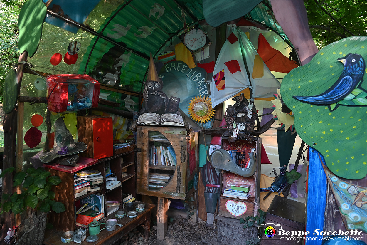 VBS_4898 - Il bosco fatato - Montaldo Roero.jpg